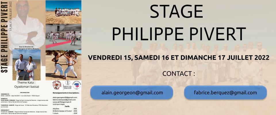 Stage Karaté Philippe PIVERT