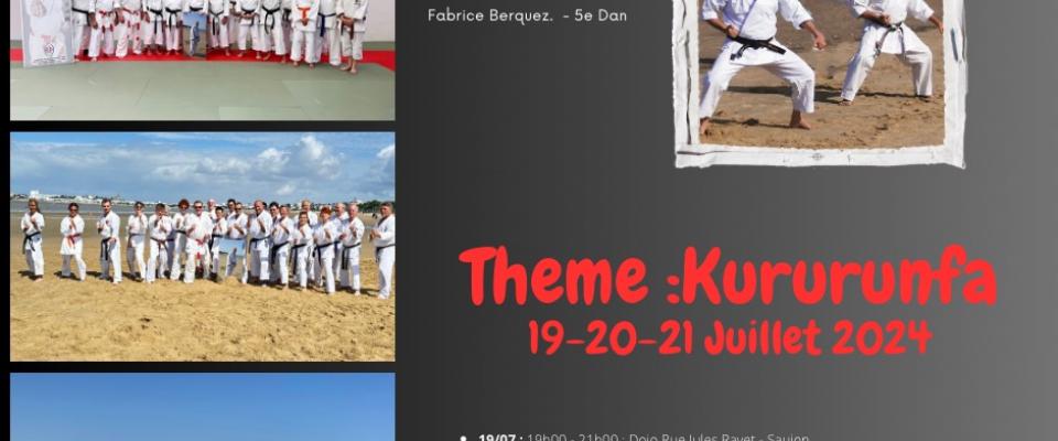 Stage Philippe PIVERT 2024 - Karaté Shitoryu