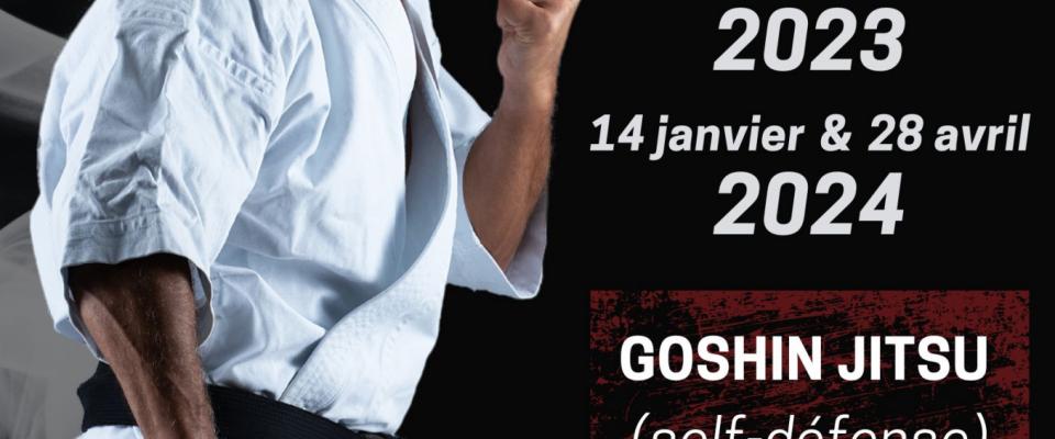 Stage Goshin Jitsu -self défense- et déplacement